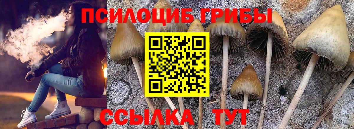 Галлюциногенные грибы ЛСД Щёлково