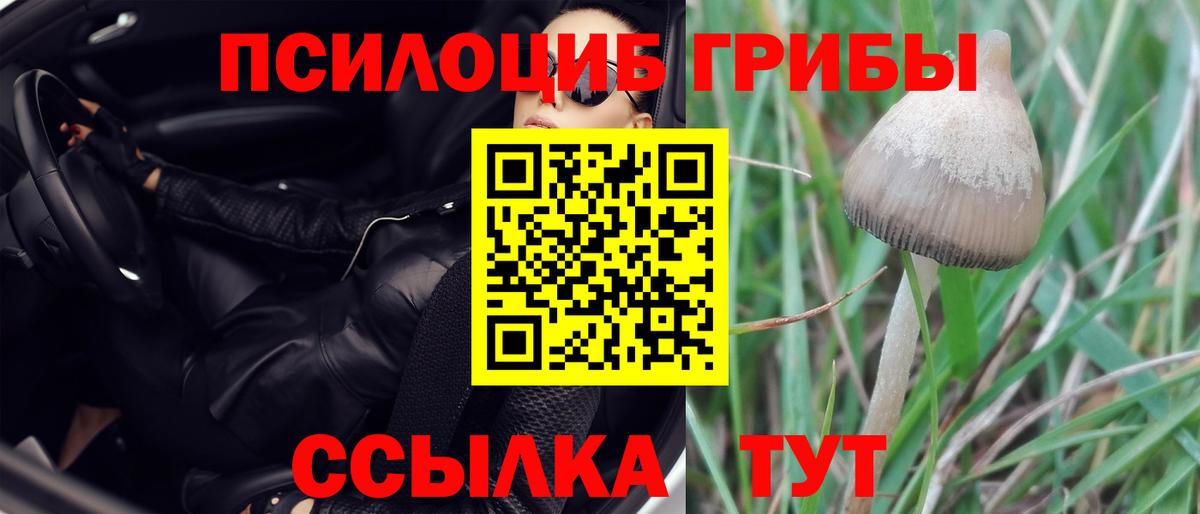 Псилоцибиновые грибы Cubensis  как найти   Псилоцибиновые грибы мухоморы  Щёлково  Вход с VPN 